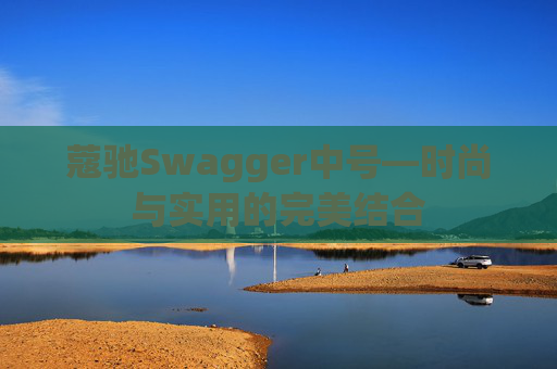 蔻驰Swagger中号—时尚与实用的完美结合